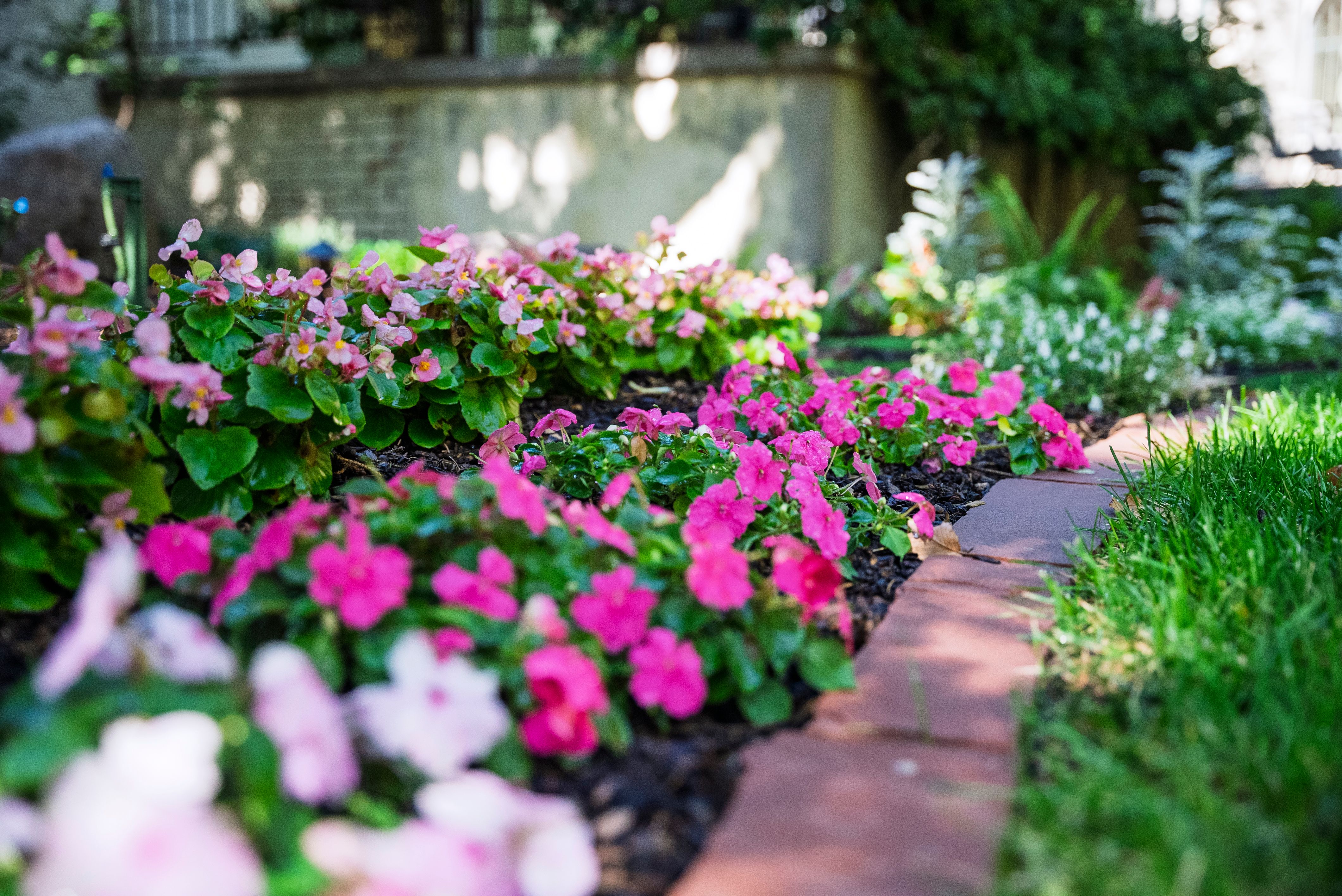 Beautiful annual and perennial flower bed with healthy soil in front yard garden