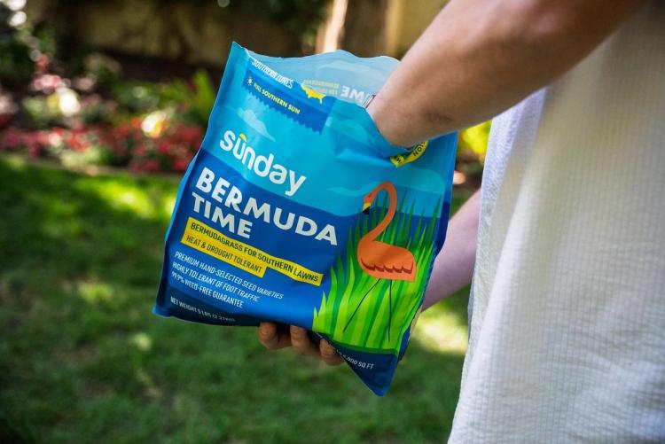 Seeding using Bermuda Time grass seed