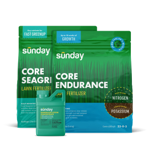 Granular Fall Lawn Fertilizer Kit includes: Sunday Herbicide Pouch, Motorized Wand Sprayer Dandelion Doom Herbicide Concentrate Refill, Core Endurance, and Core Seagreen