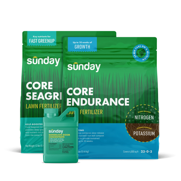 Granular Fall Lawn Fertilizer Kit includes: Sunday Herbicide Pouch, Motorized Wand Sprayer Dandelion Doom Herbicide Concentrate Refill, Core Endurance, and Core Seagreen
