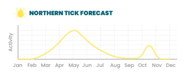 Northern tick forecast for activity
