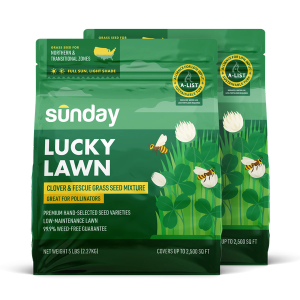 Bag of Sunday Lucky Lawn, a mix of fescue, bluegrass, and clover seed