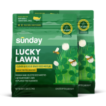 Lucky Lawn Grass Seed (2-pack)