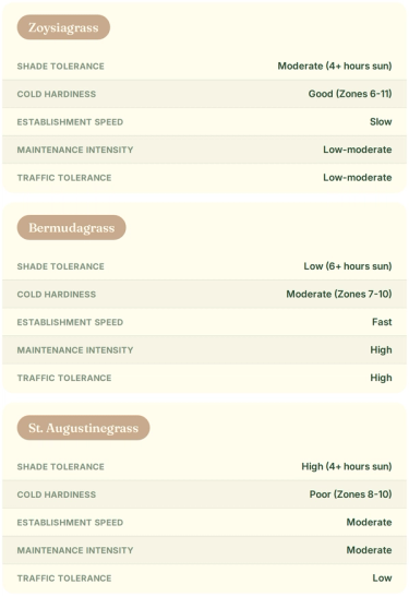 Warm-season grass comparison. Zoysiagrass: moderate shade tolerance (4+ hours sun), good cold hardiness (Zones 6-11), slow establishment speed, low-moderate maintenance intensity, low-moderate traffic tolerance. Bermudagrass: low shade tolerance (6+ hours sun), moderate cold hardiness (Zones 7-10), fast establishment speed, high maintenance intensity, high traffic tolerance. St. Augustinegrass: high shade tolerance (4+ hours sun), poor cold hardiness (Zones 8-10), moderate establishment speed, moderate maintenance intensity, low traffic tolerance.