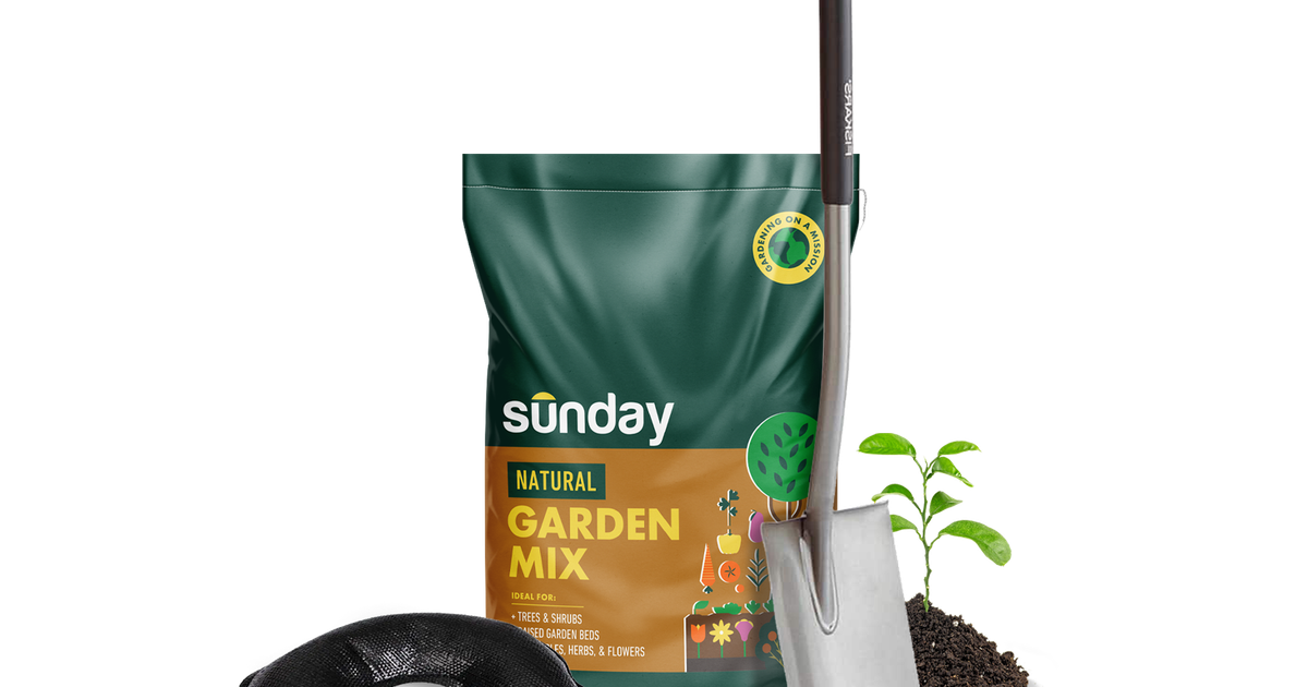 Get the Best Backyard on the Block Sunday Lawn Care