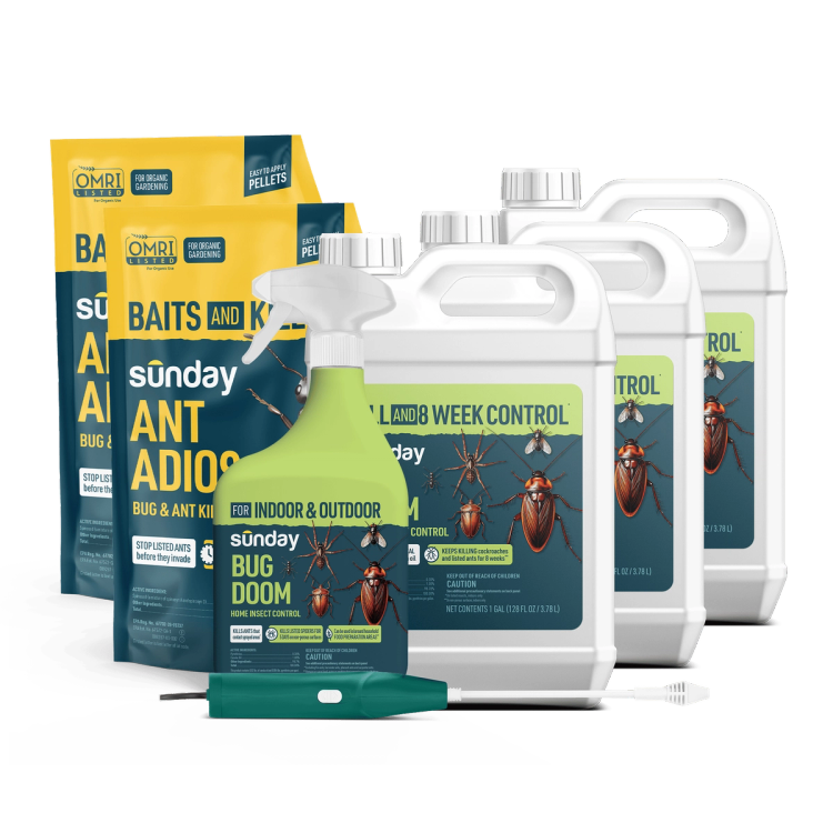 Bug Doom Insect Control Indoor & Outdoor