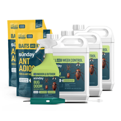 Bug Doom Insect Control Indoor & Outdoor