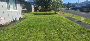 Sunday lawn customer that mows high with great mowing lines