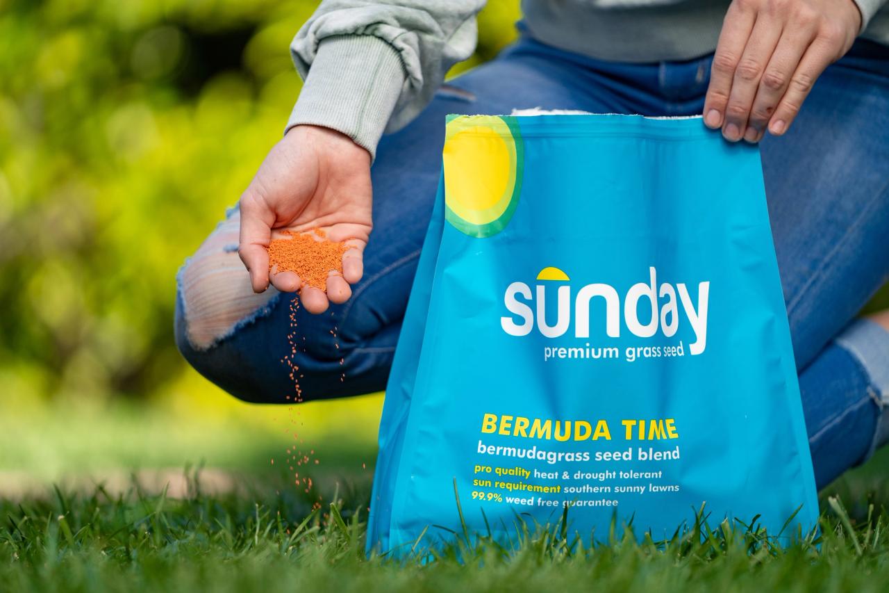 Sunday Lawn Care Mighty Green Instructions