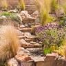 A beautiful Southwest garden and walkway