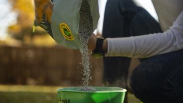 Fescue grass seeds adding to seed spreader for frost seeding.