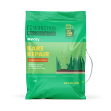 Bare Repair Common Bermudagrass | Lawn Patch Kit | 3-in-1 Repair