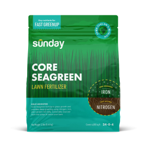 Core Seagreen Granular Lawn Fertilizer