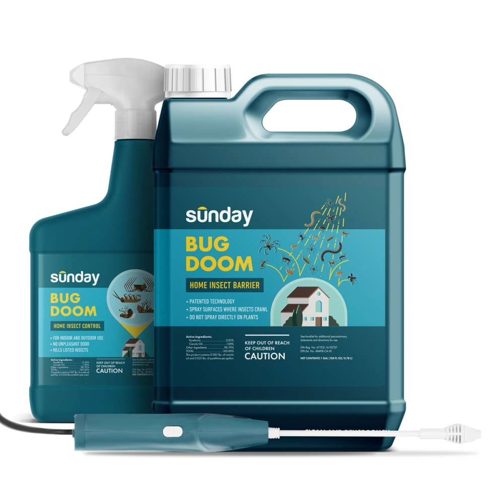 Small Total Home Pest Protection Subscription Plan | Sunday Lawn Care