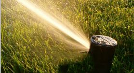 Lawn sprinkler spraying on grass