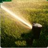 Lawn sprinkler spraying on grass
