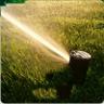 Lawn sprinkler spraying on grass
