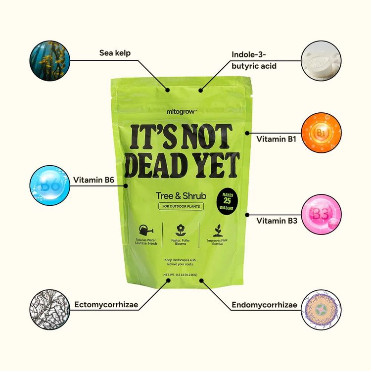 Mitogrow ingredients