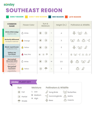 bird and pollinator friendly plant chart for the southeast