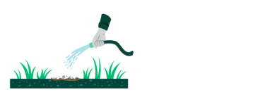 Water Sunday Bare Repair