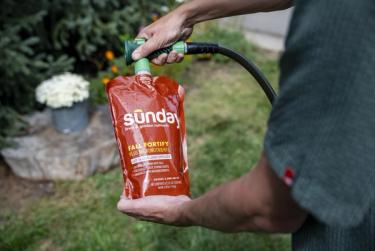 Applying Sunday Fall Fortify lawn fertilizer to cool-season grass as part of fall lawn care for cool-season grasses.