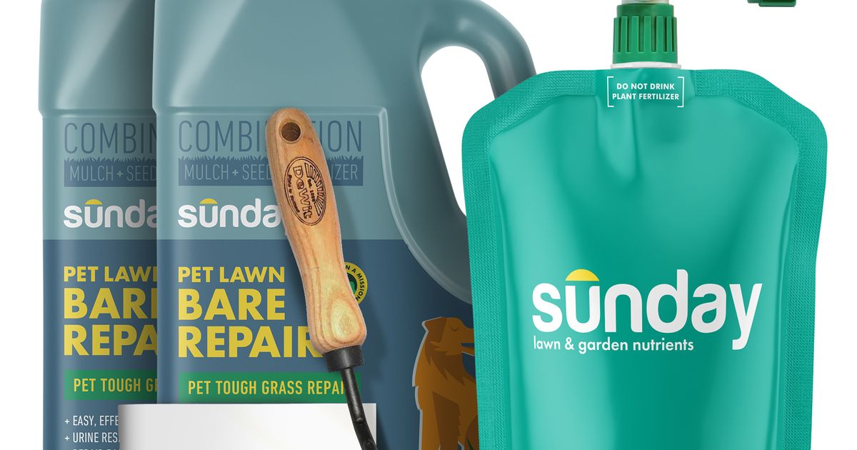 sunday-lawn-care