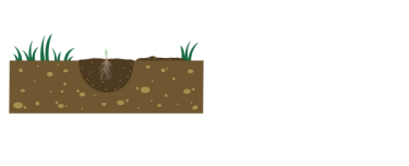 Fill with Sunday Natural Garden Mix