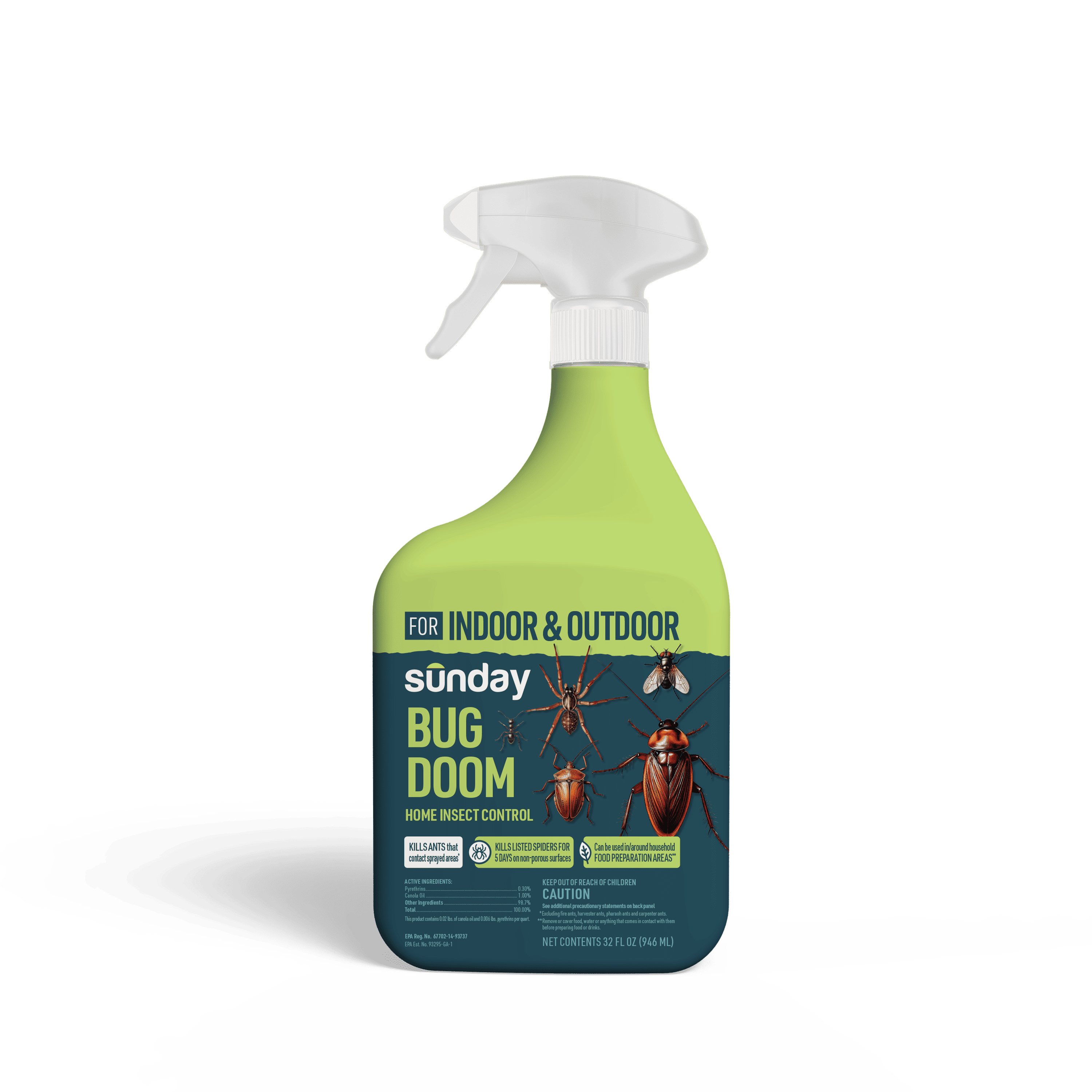 Bug Doom Indoor Insect Control Spray