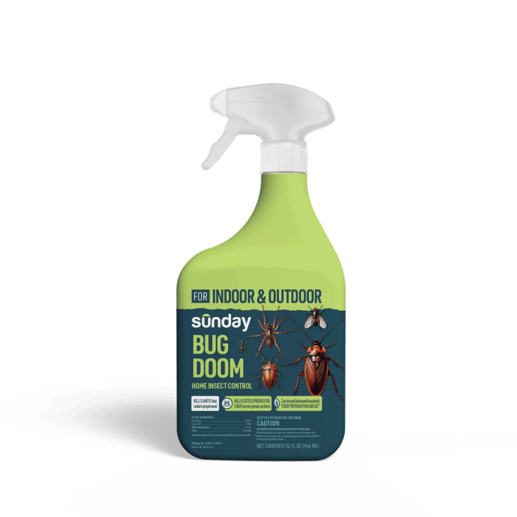 Bug Doom Indoor Insect Control Spray