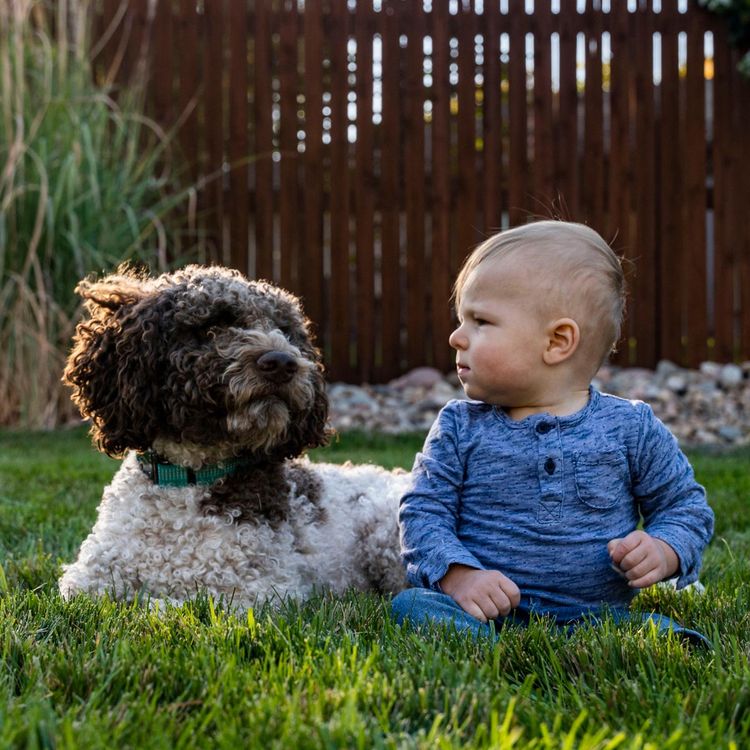 Baby and dog in green grass
