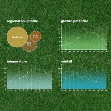 Custom lawn analysis sample view