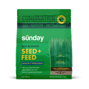 Sun & Shade Seed + Feed
