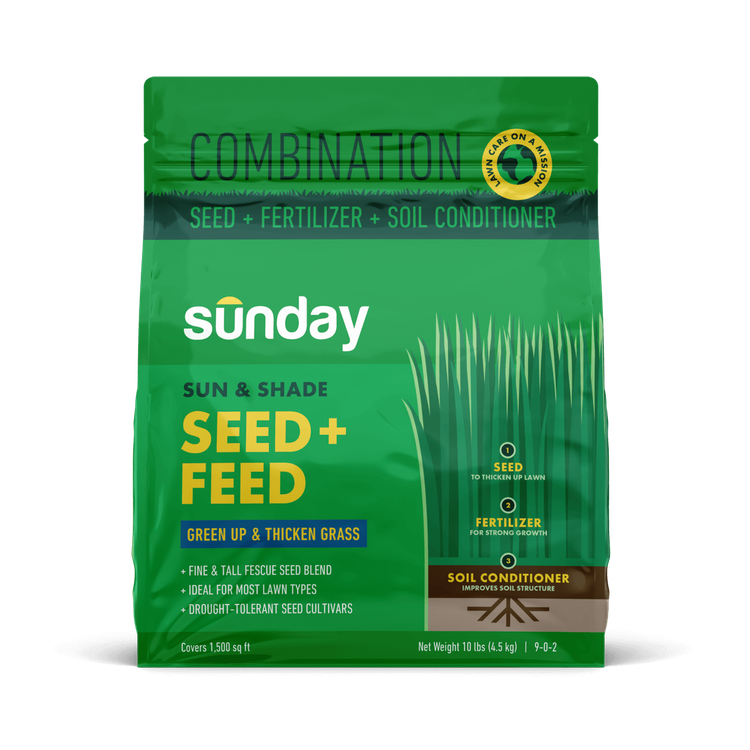 Sun & Shade Seed + Feed