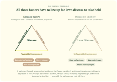 The disease triangle: lawn disease requires a virulent pathogen (fungus), a susceptible host (grass that fungus can infect), and a favorable environment, all present at once. Favorable environmental conditions include extended leaf wetness, heavy nitrogen, and low mowing height. Removing any one factor — for example shortening leaf wetness duration, balancing nitrogen timing, or raising mowing height — makes disease far less likely even with the pathogen and host still present.