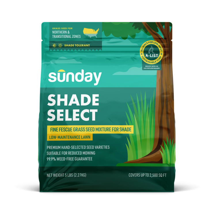 Bag of Sunday Shade Select, a fescue, ryegrass, bluegrass seed blend
