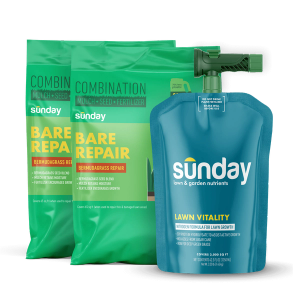 Bermudagrass Patch Kit for Common Bermudagrass Lawns includes: Bare Repair Bermudagrass Lawn Treatment + Grass Seed, Lawn Vitality, and NEW Replacement Sprayer