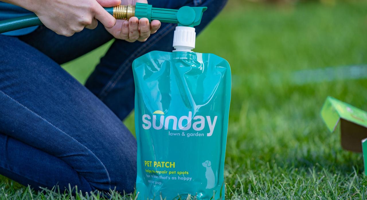 Sunday's Pet Patch applied to lawn