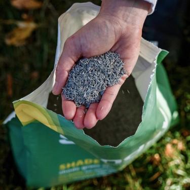 Sunday A-LIST grass seed in person's hand over bag of seed