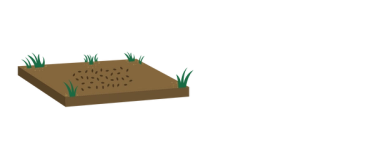 Spread the wildflower seeds