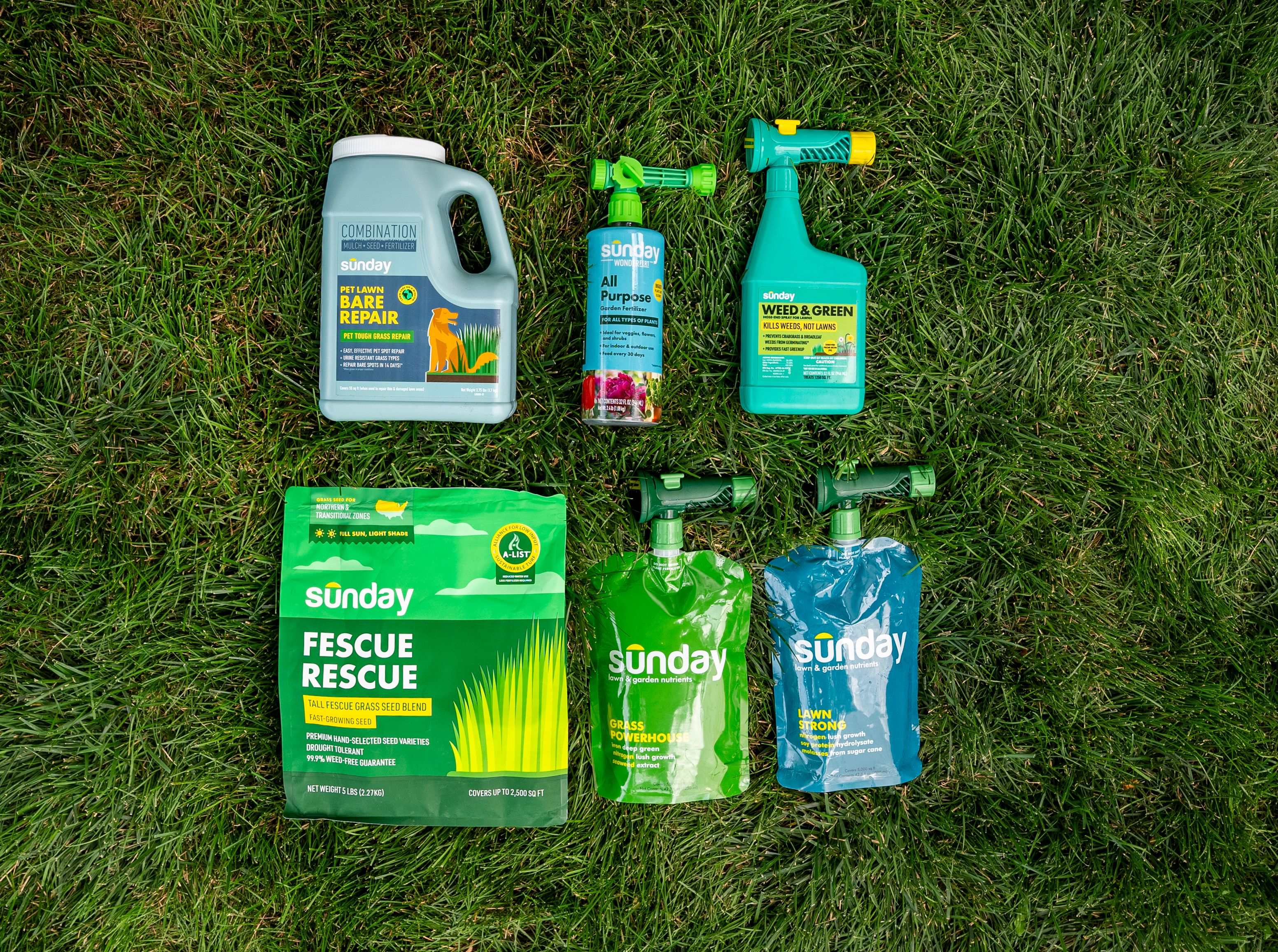 Sunday lawn care, Sunday garden, Sunday grass seed, and Sunday weed control on lawn
