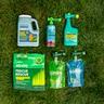 Sunday lawn care, Sunday garden, Sunday grass seed, and Sunday weed control on lawn