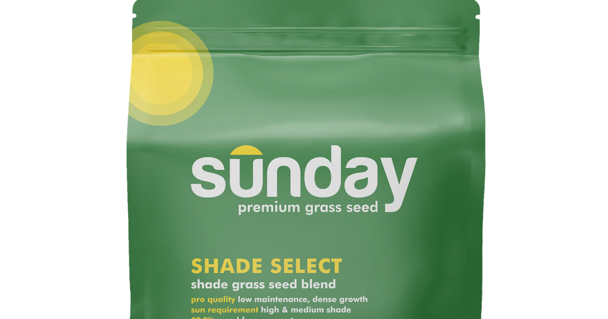 Sunday Lawn Care Sunday lawn care