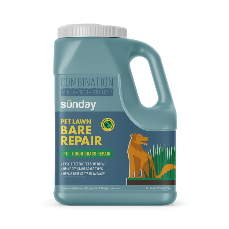 pet lawn bare repair