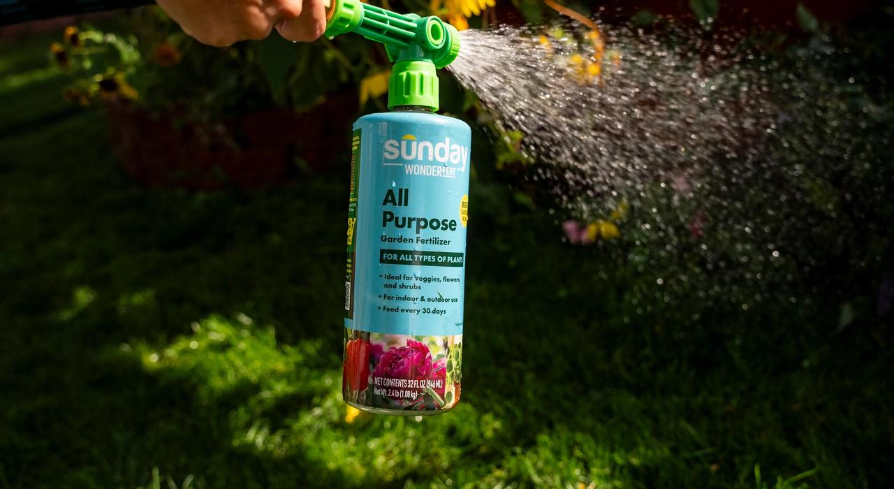Image of WondertFert All-Purpose plant food applied via hose-end sprayer to flowering plants in raised bed