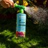 Image of WondertFert All-Purpose plant food applied via hose-end sprayer to flowering plants in raised bed