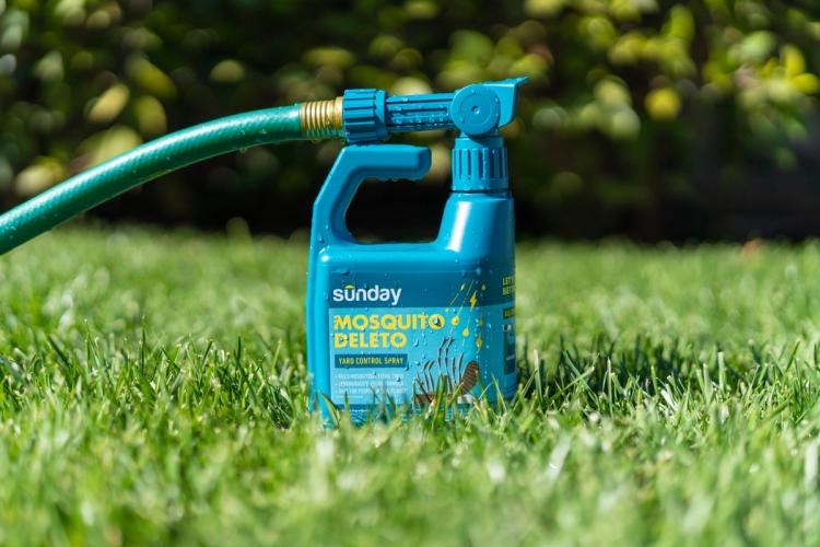 Repel mosquitos with plant-based bug sprayer