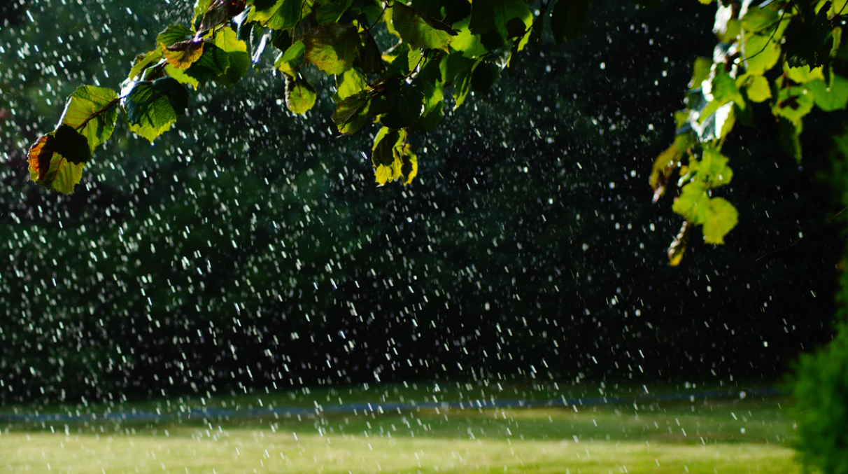 A sprinkler sprays water across a lawn