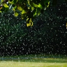 A sprinkler sprays water across a lawn