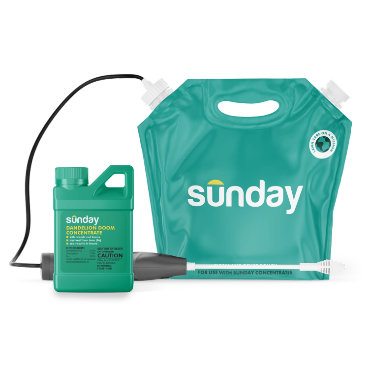 Dandelion Doom Herbicide Concentrate with Pouch and Sprayer