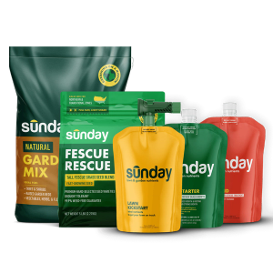 Start Your Lawn from Scratch Kit includes: Fescue Rescue Grass Seed, Lawn Starter, Lawn Kickstart, Natural Garden Soil Mix, Lawn Aid, and NEW Replacement Sprayer